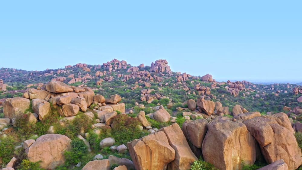 The Wilds of Daroji