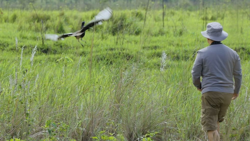 Friend of The Floricans