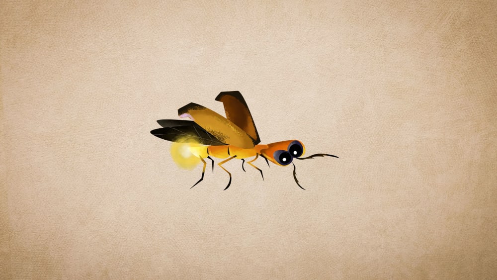 Fireflies: Facts, Mating Rituals and Distribution