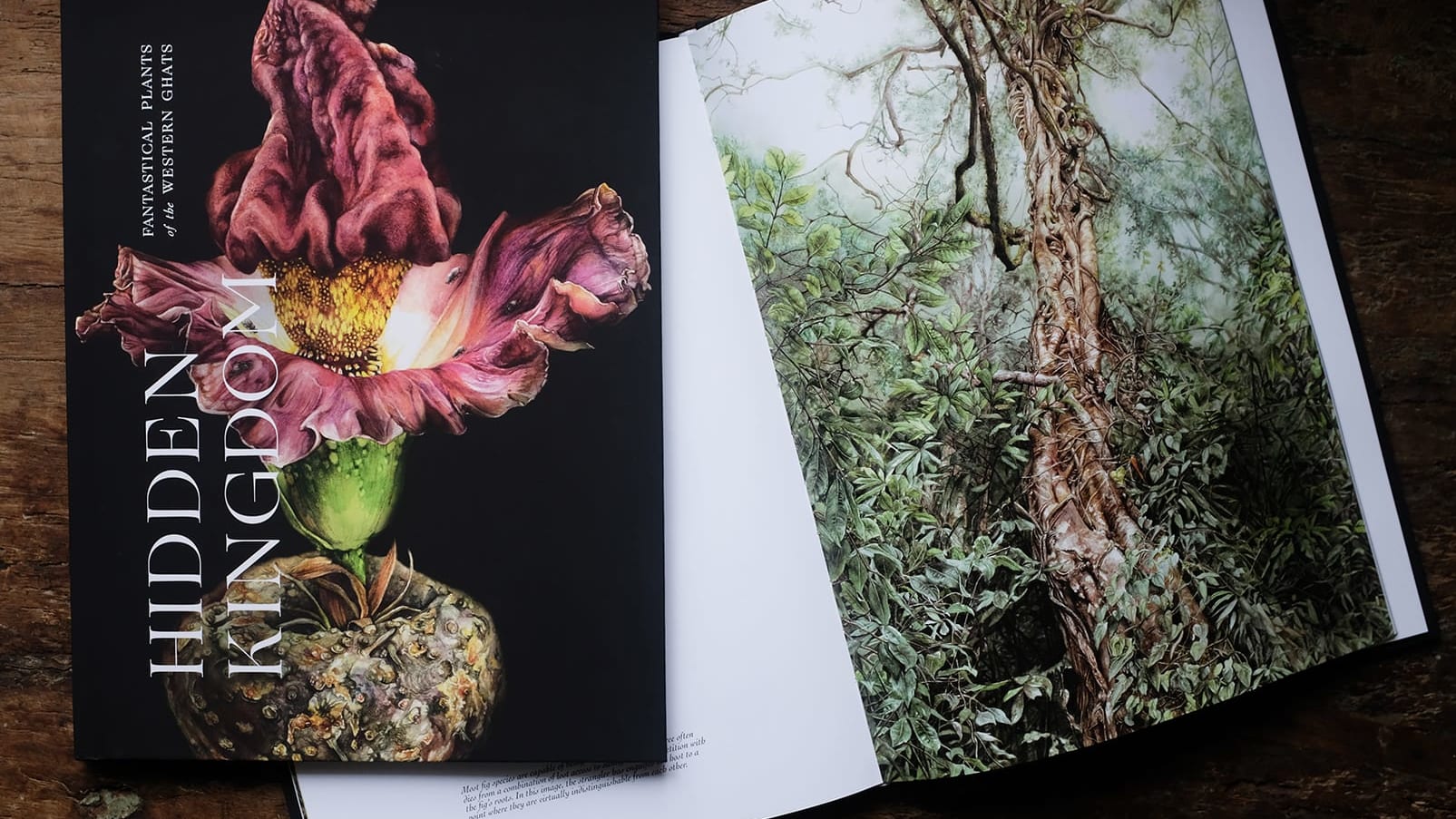 Hidden Kingdom: Fantastic Plants and Where to Find Them