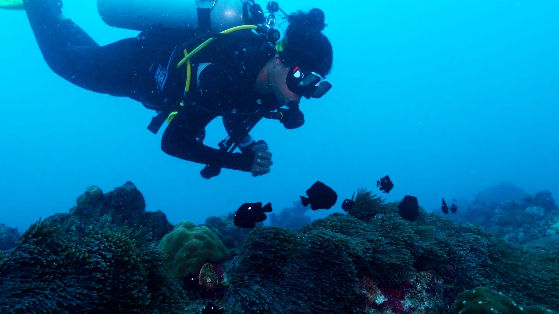 Into the Depths