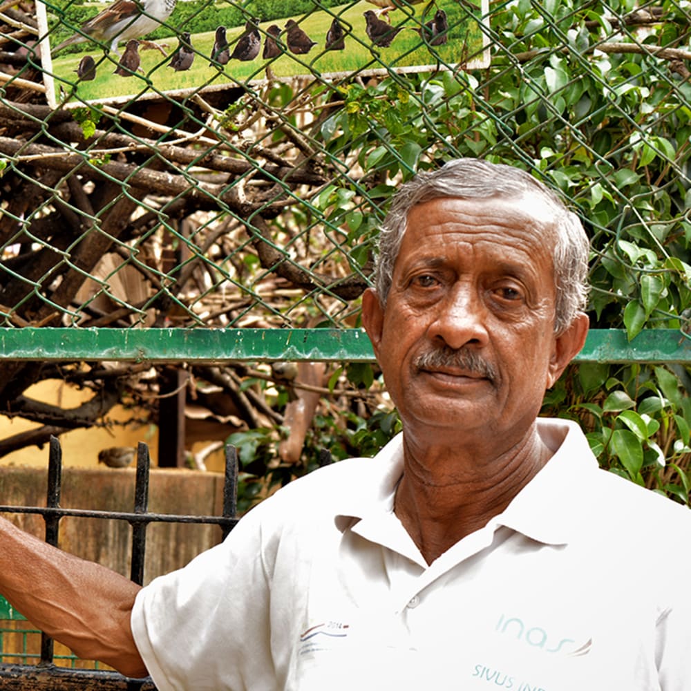 Edwin Joseph, The Sparrow Whisperer