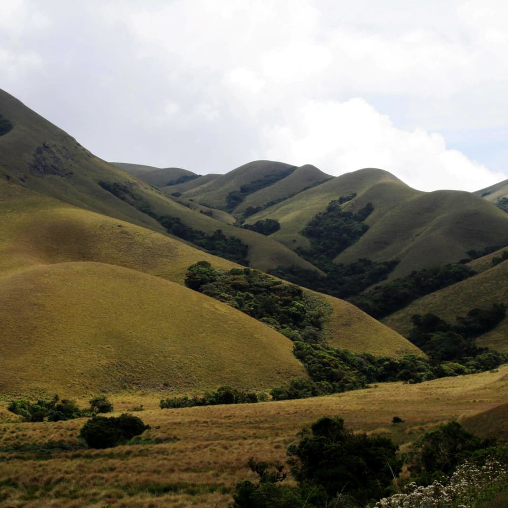 Not Wastelands: Non-forest Habitats of the Western Ghats