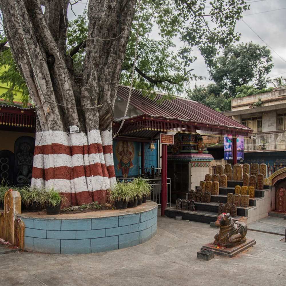 How Sacred Sites in Bengaluru Safeguard Trees