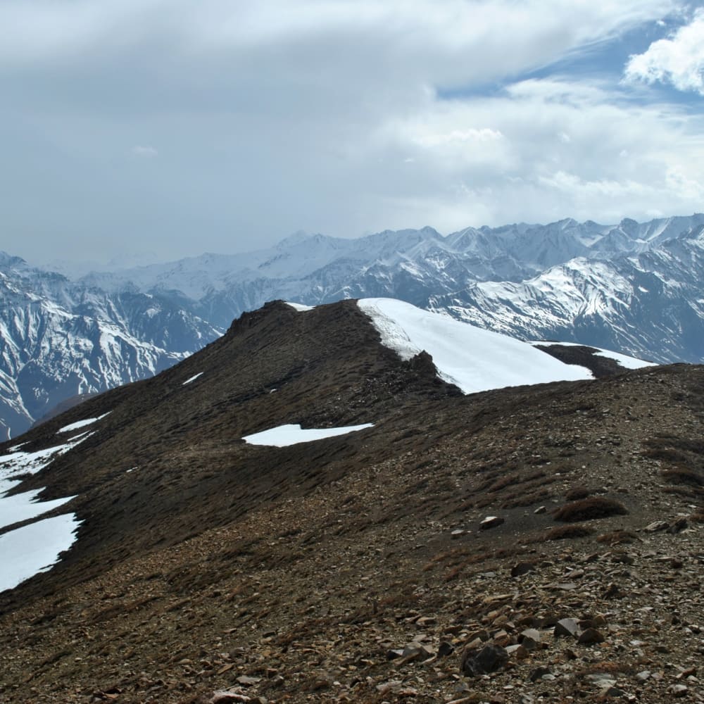 Seeking the Elusive Stone Marten in the Wilds of Spiti Valley