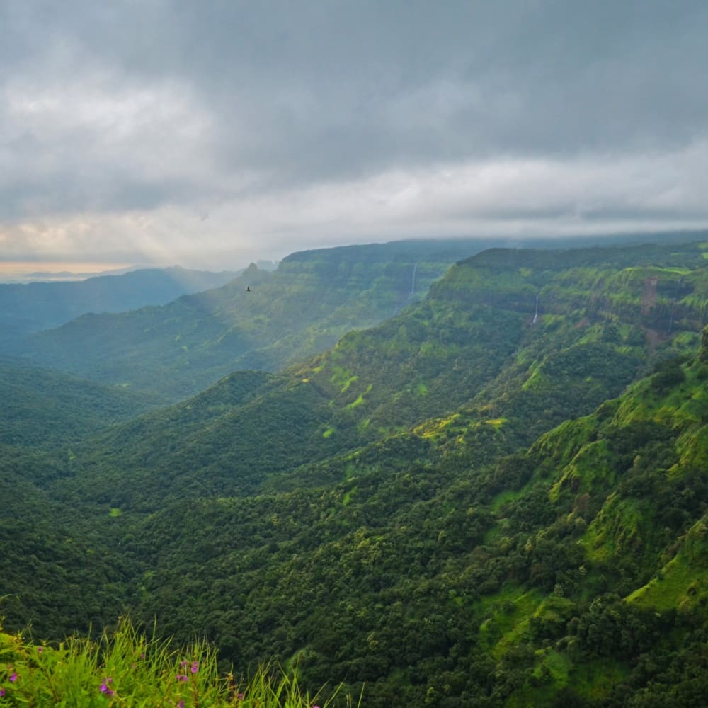 The Guide: Amboli, an Evergreen Eden