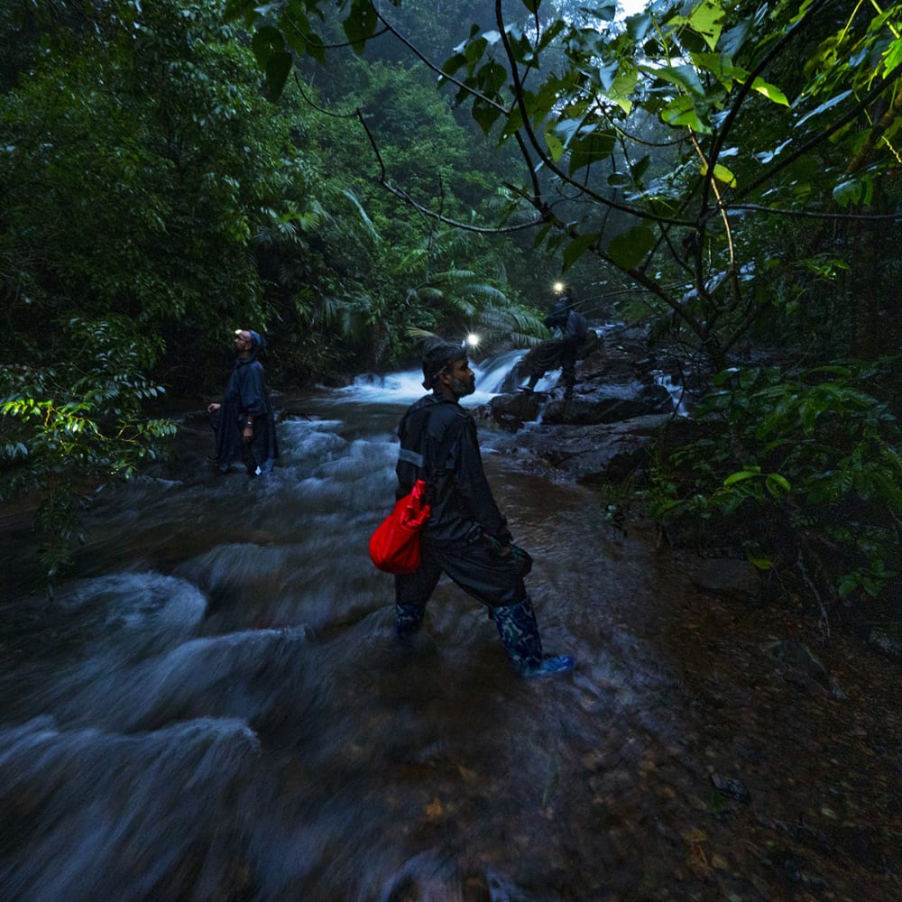 Behind the Lens: Shooting the Residents of a Rainforest