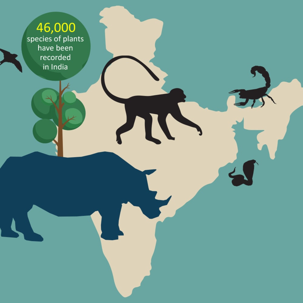 What is Biodiversity?