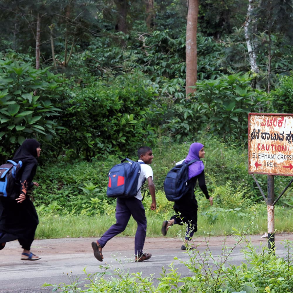 Crisis in Kodagu: Can Humans and Elephants co-exist?