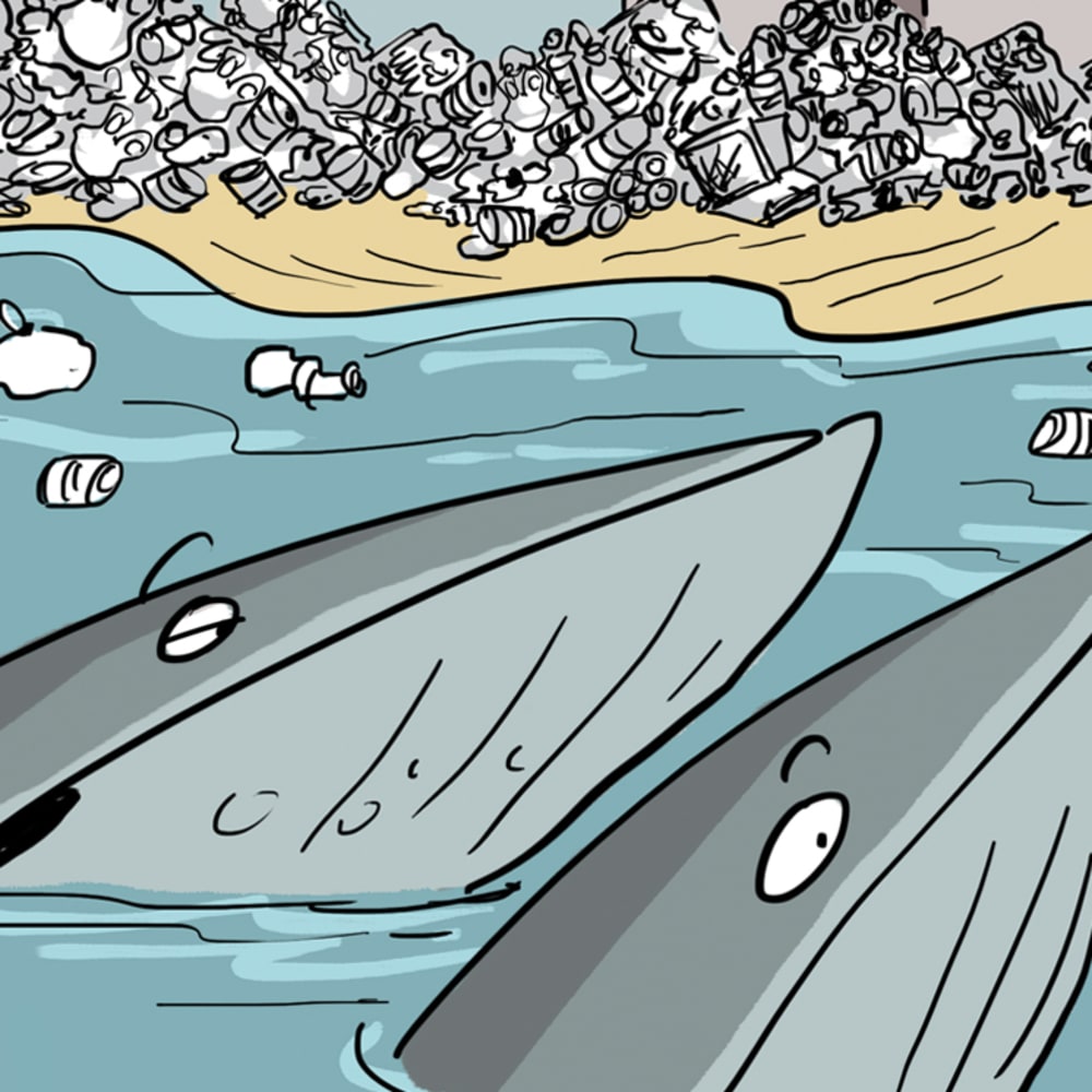 Welcome to the Waste Coast