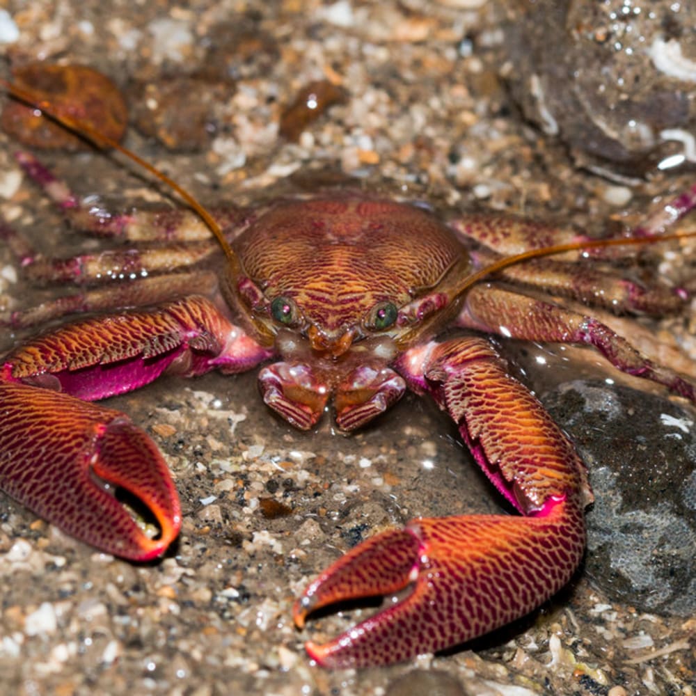 A Date with Mumbai’s Marine Wildlife