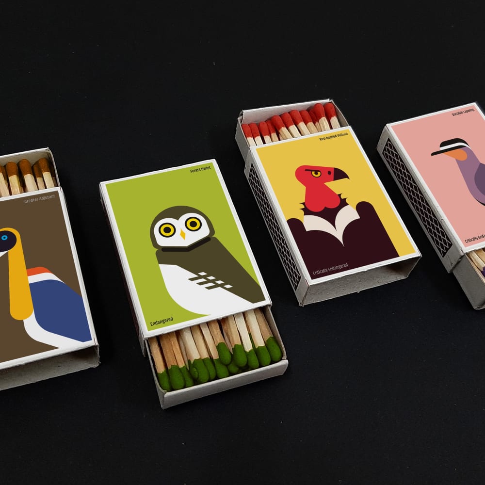 Matchbox Art: Kindling the Fire to Save Endangered Birds