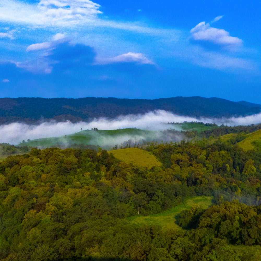 The Guide: Agumbe, the Exalted Rainforest Paradise