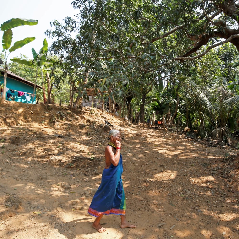 Tulasi Gowda: How She Brings Forests to Life