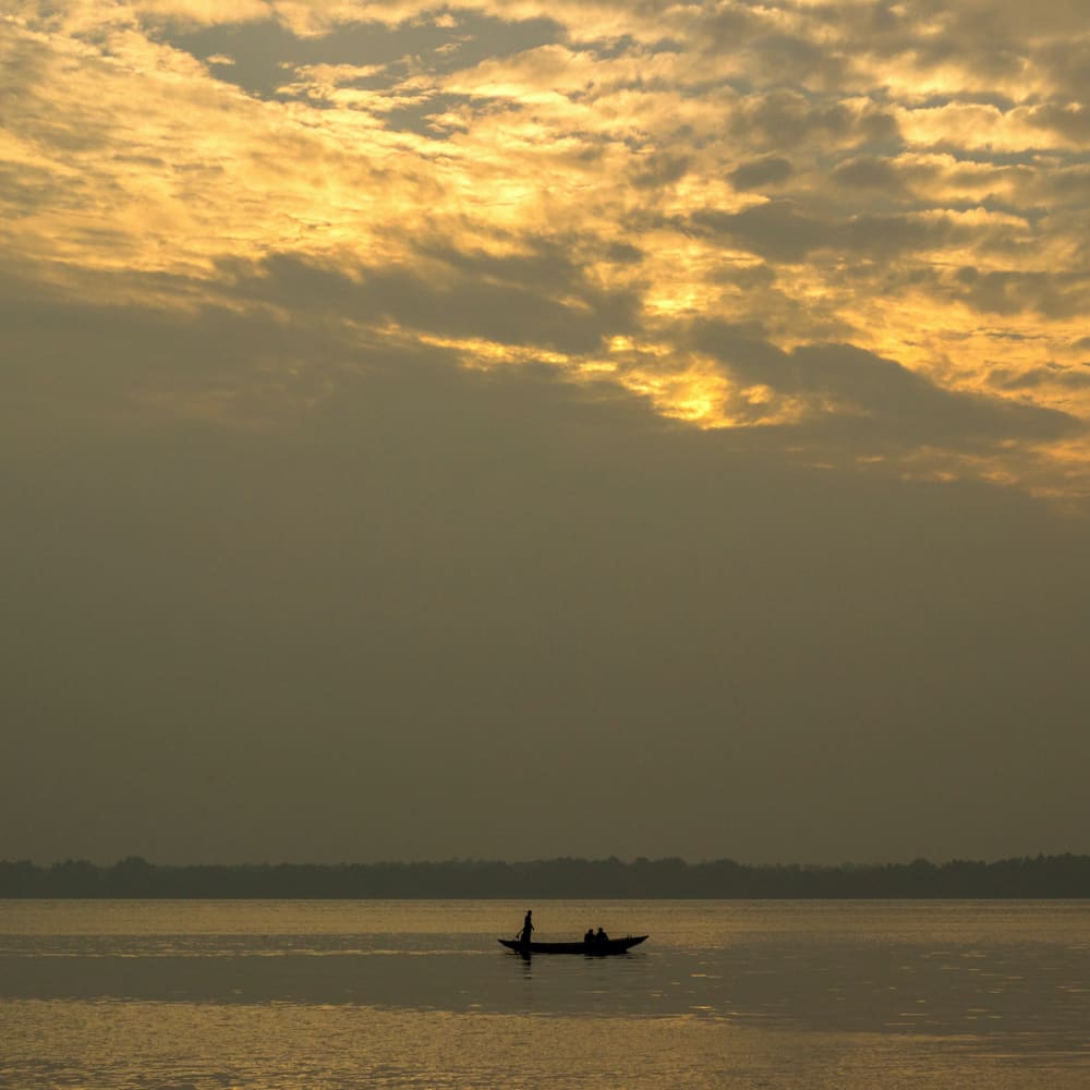 Amphan Aftermath: A Resilient Mangrove Forest Struggles to Survive