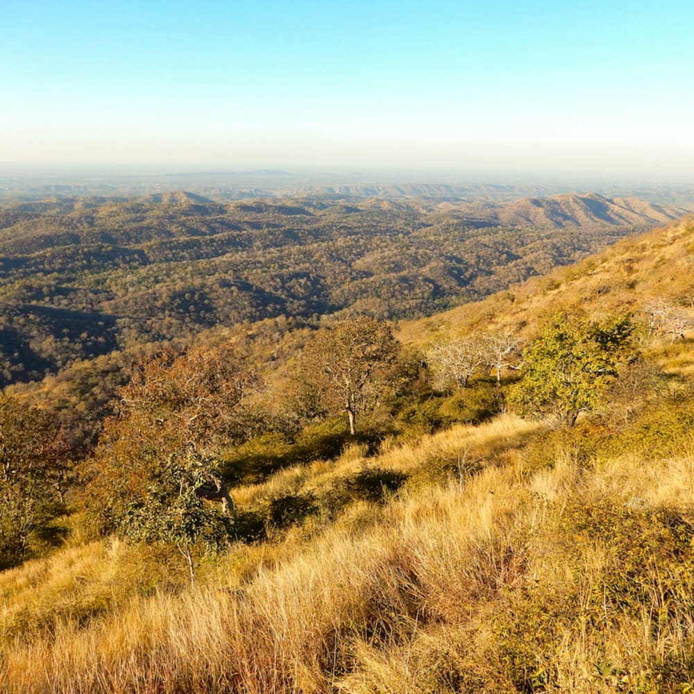 The Ecotone: The Todgarh-Raoli and Kumbhalgarh Sanctuaries of Rajasthan
