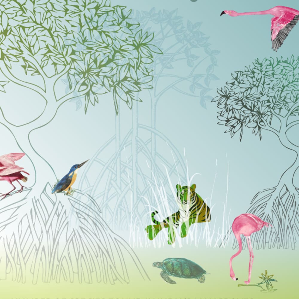 Mangroves: Forests, Coast Guards, Threats