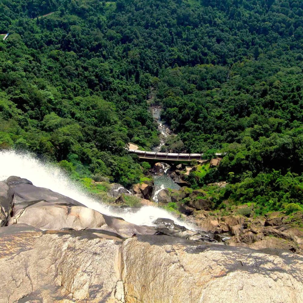 Magical Mollem: The Fight to Save Goa’s Largest Wildlife Sanctuary