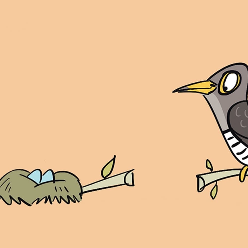 Tricks and Tips from a Record-Setting Cuckoo’s Handbook
