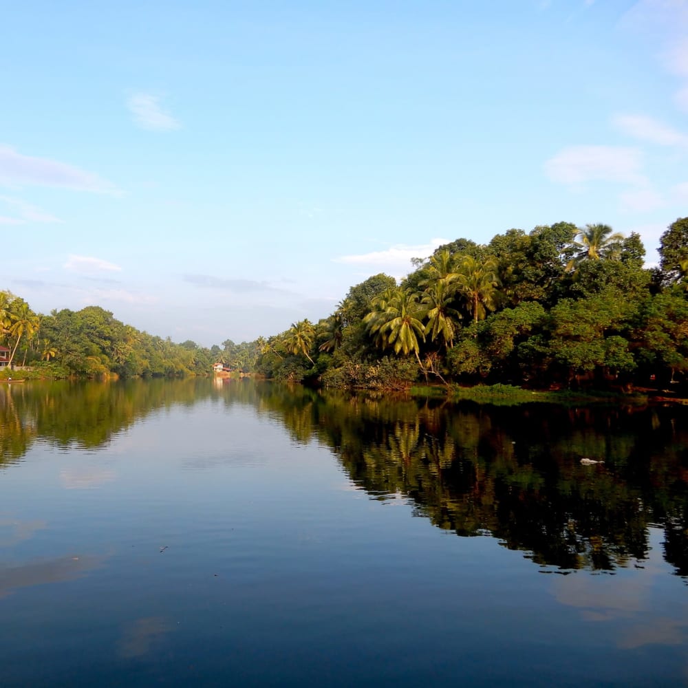 Growing With the Flow: The River Pamba and I