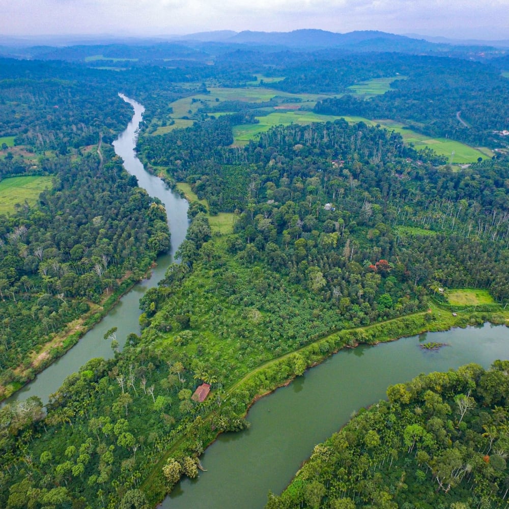 Living Waters: The Resistance and Resilience of the Cauvery