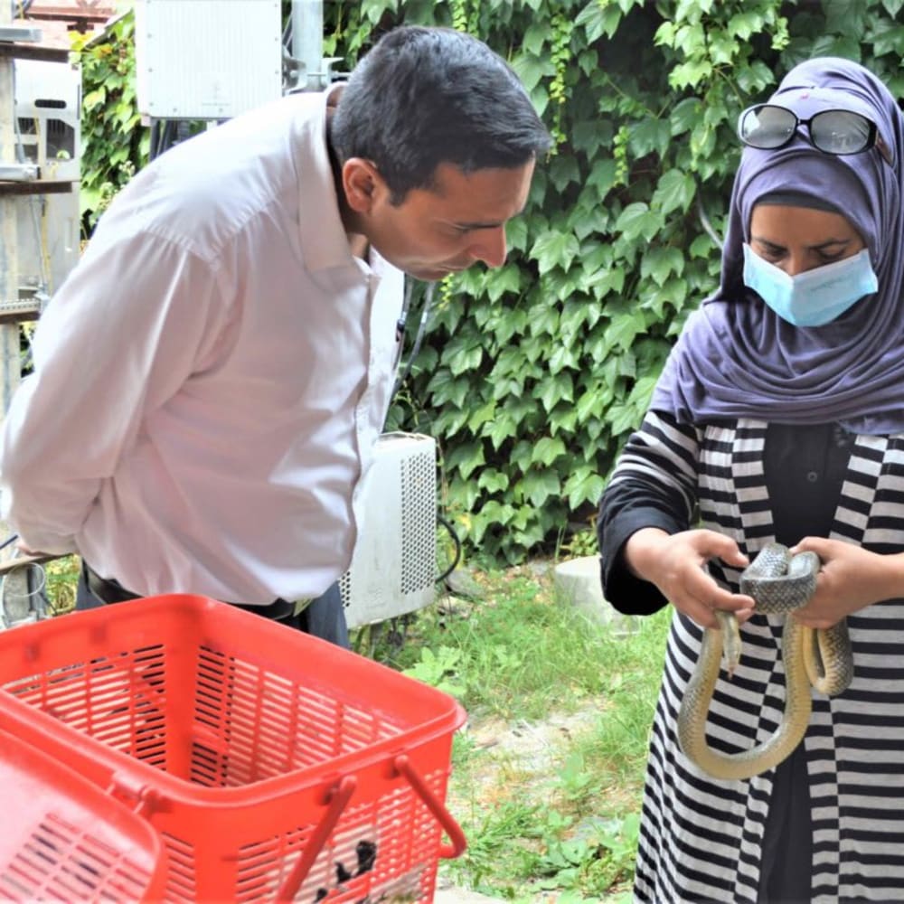 Aaliya Mir: The Woman Who Rescues Wildlife in Kashmir