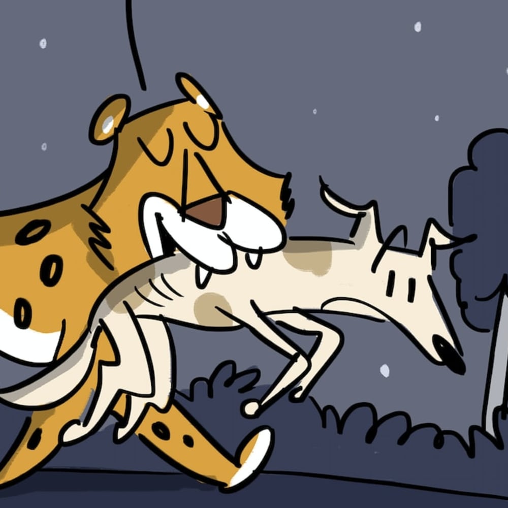 Leopards to the Rescue!