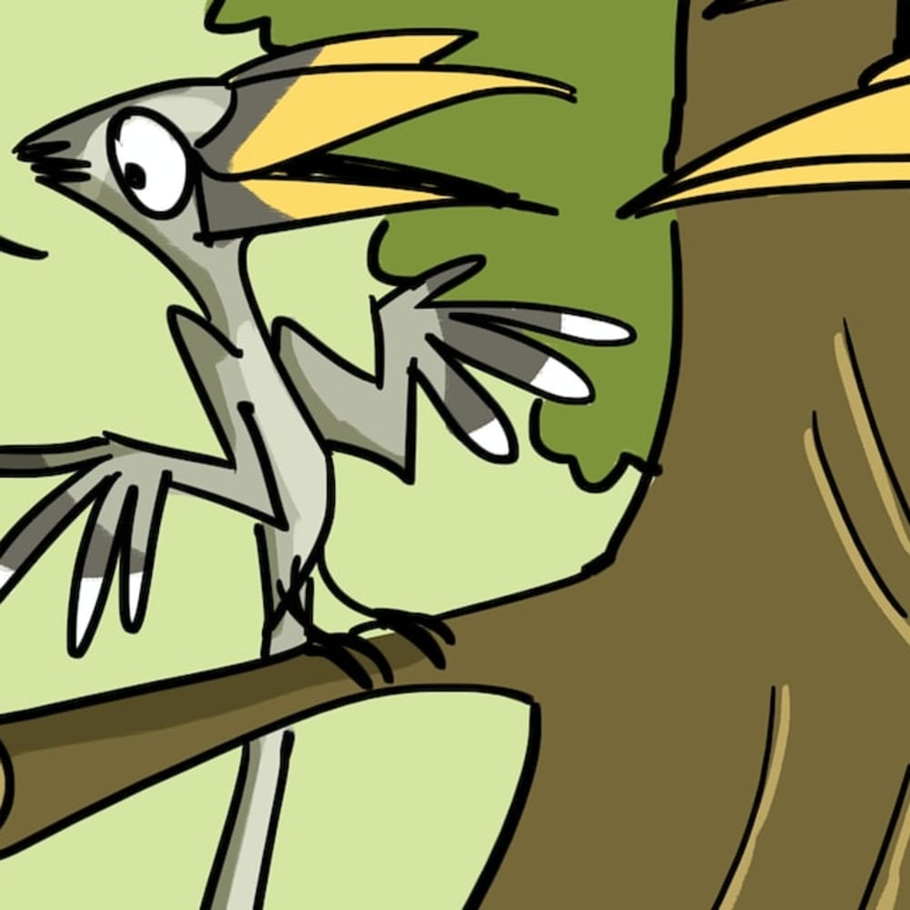 Stay Home like a Hornbill