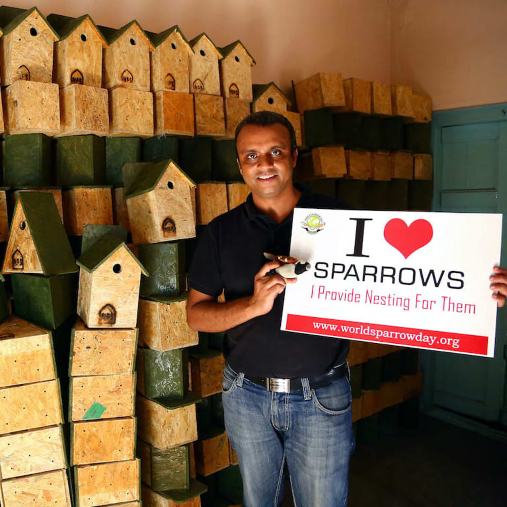 Mohammed Dilawar: A Superhero for the House Sparrow