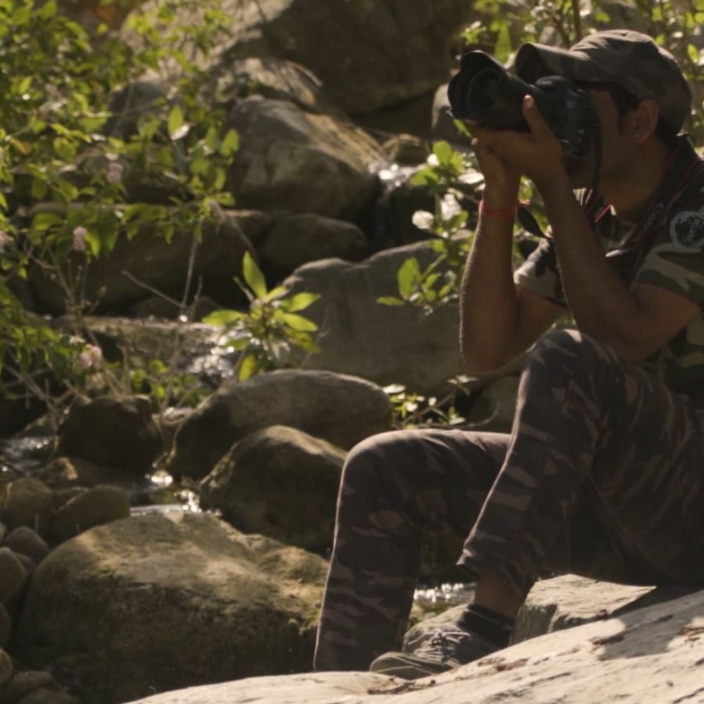 Jungle Tales: Kumbhalgarh Through the Eyes of a Forest Guard