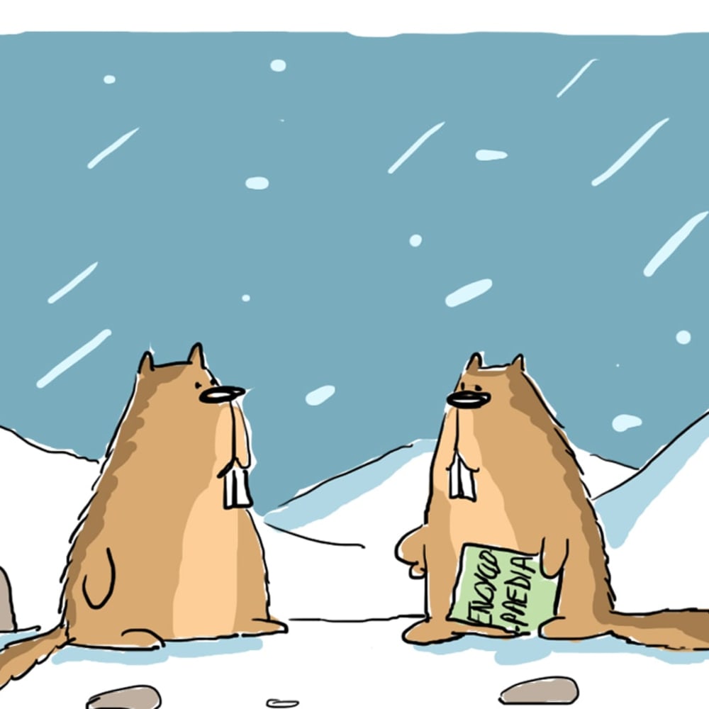 How to Stay Warm Like a Snow Leopard