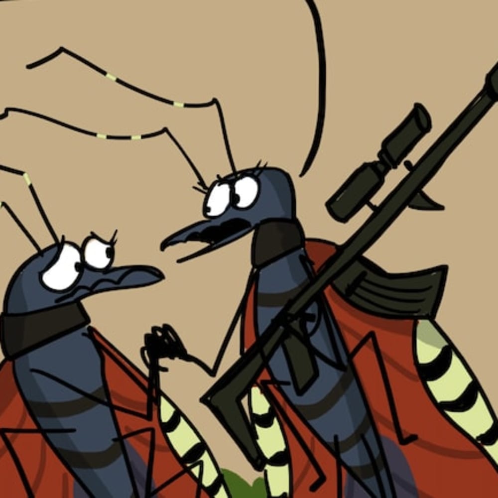 Assassin Bugs: Bad Boys of the Insect World