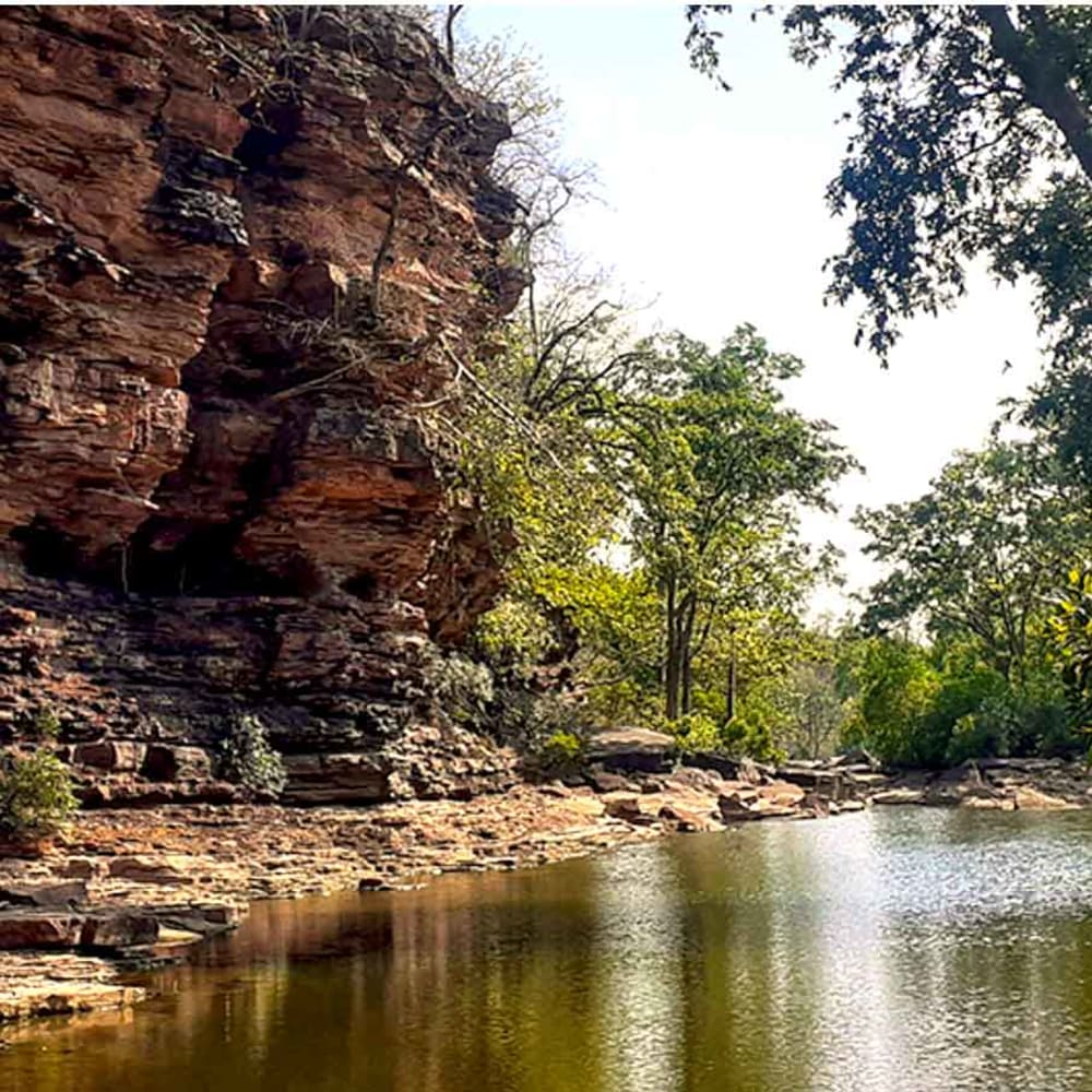 Two Lakh Trees Face Axe for Diamond Mine in Buxwaha