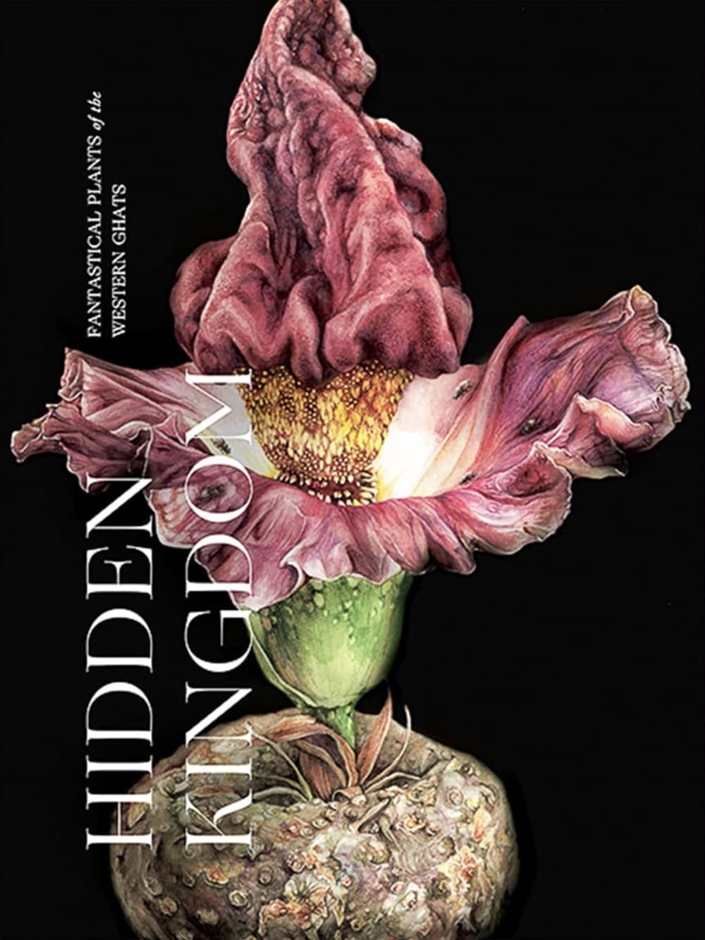 Hidden Kingdom: Fantastic Plants and Where to Find Them
