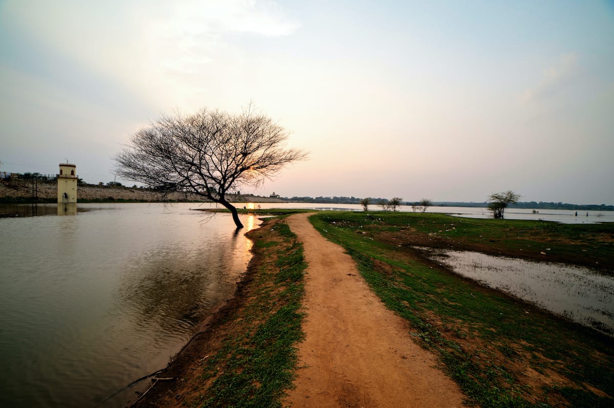Hesaraghatta is one of the largest lakes of Bengaluru. Due to lack of maintenance, many of the other lakes of Bengaluru have either dried up or have highly contaminated water. Photo: Bala Bhat/Shutterstock