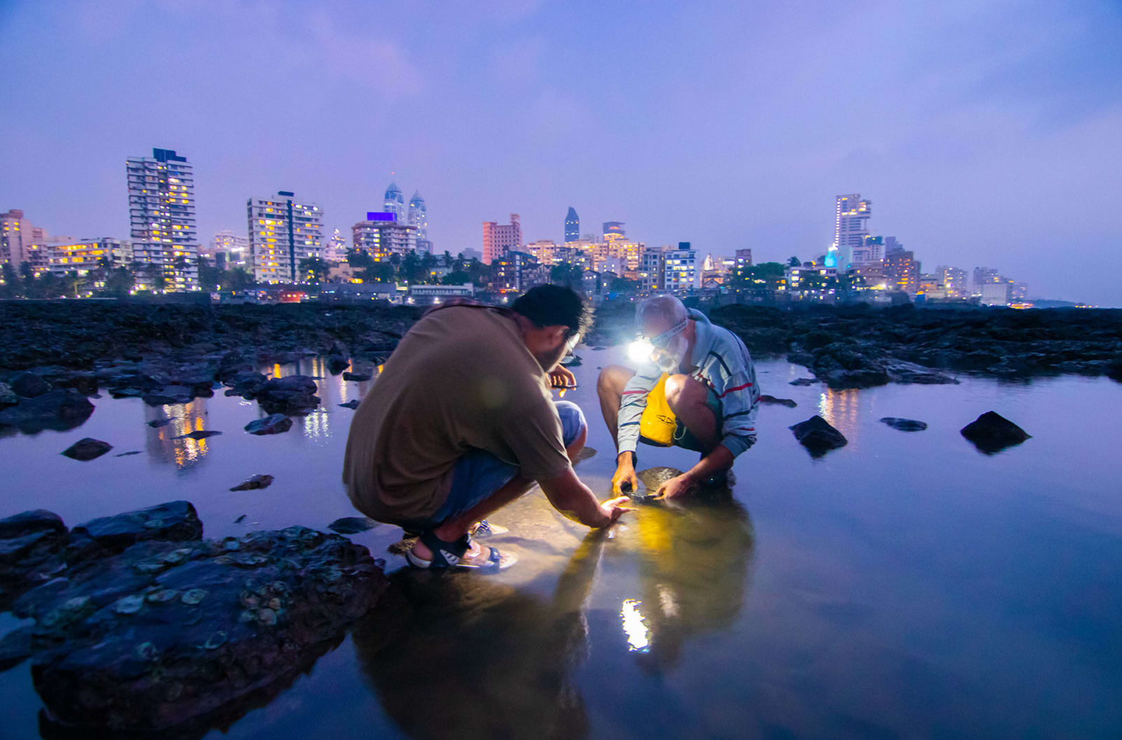 <strong>Haji Ali:</strong> Once you are hooked to “tidepooling” Naik tells me, the tide rules your life. “I have a tide pool table handy on my phone at all times,” he says. However, several of these locations, including the one above, are now being reclaimed by the ongoing construction of the Coastal Road, a 29.4-km freeway that will run along Mumbai’s western coastline. Before the lockdown, activists were building a strong case to protect these rich ecosystems, but the lockdown has hampered their efforts, and construction is on full swing. “We had just started discovering all that existed on our coast,” says Naik. “Now we may never know what we have lost.” 