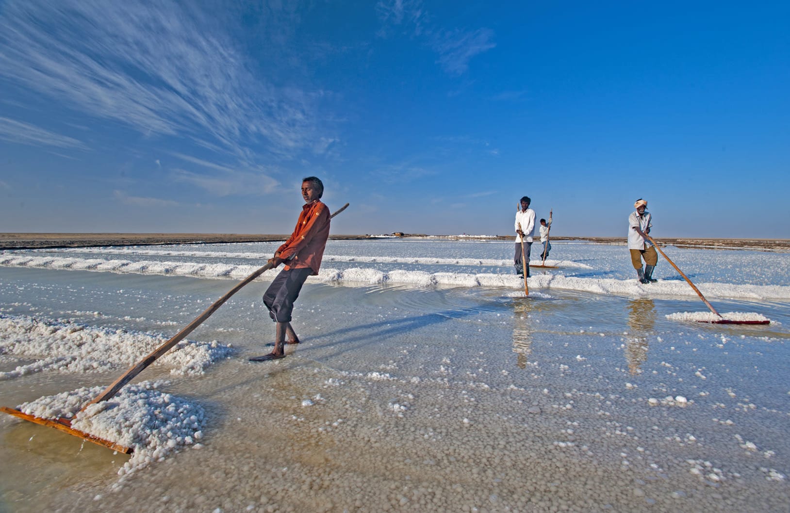 The fringes of Little Rann are dotted with village settlements, agricultural fields, and man-made water bodies. Many locals in the region are engaged in the occupation of salt-panning, which is the extraction of salt crystals from the saline water of the marsh. It is a gruelling job, involving hard labour and exposure to elements — no mean feat, in a desert landscape like this. 