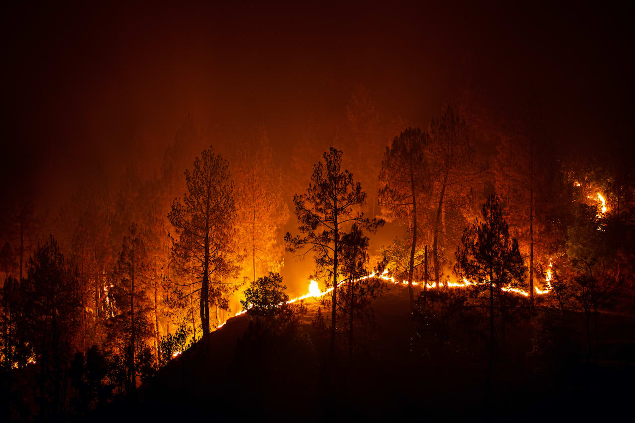 A bush forest wildfire rages at night in Barechhina, Almora, Uttarakhand. Photo: Asha_Joshi/Shutterstock