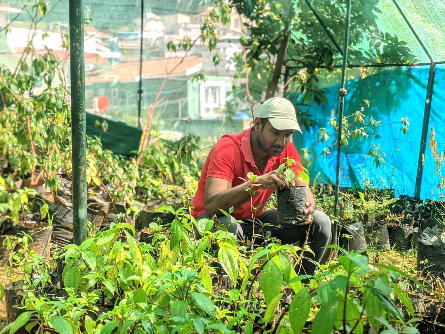 Vasanth Godwin Bosco has set up a nursery (left) for native plants and trees in the Nilgiris (right). Photos: Pankaj Singh   Cover Photo: In 2011, Vasanth Godwin Bosco returned to the Nilgiri hills where was born to try and reverse the degradation of the native ecosystem. Cover Photo: Pankaj Singh  