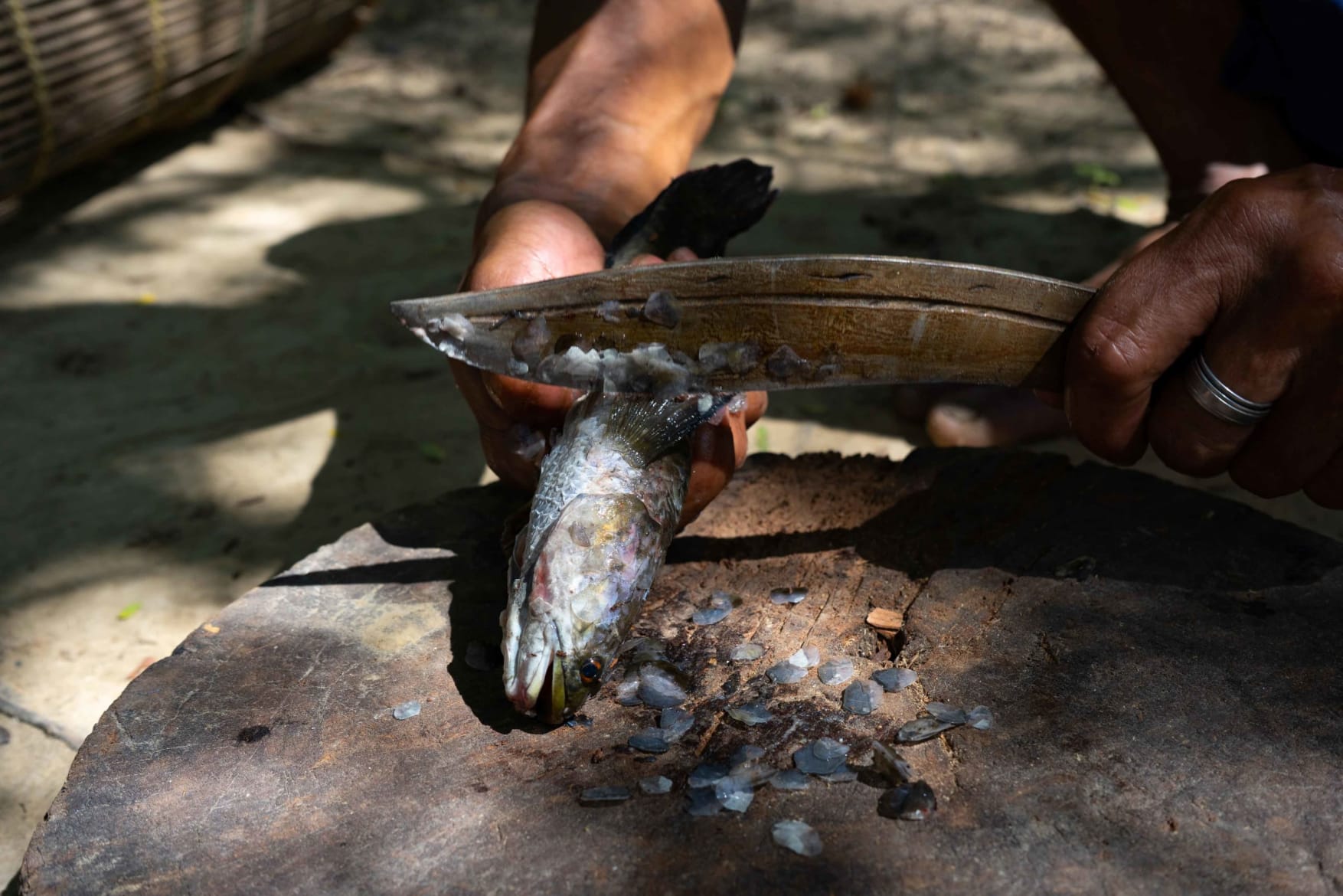 Bamboo Fish-trap Image & Photo (Free Trial)