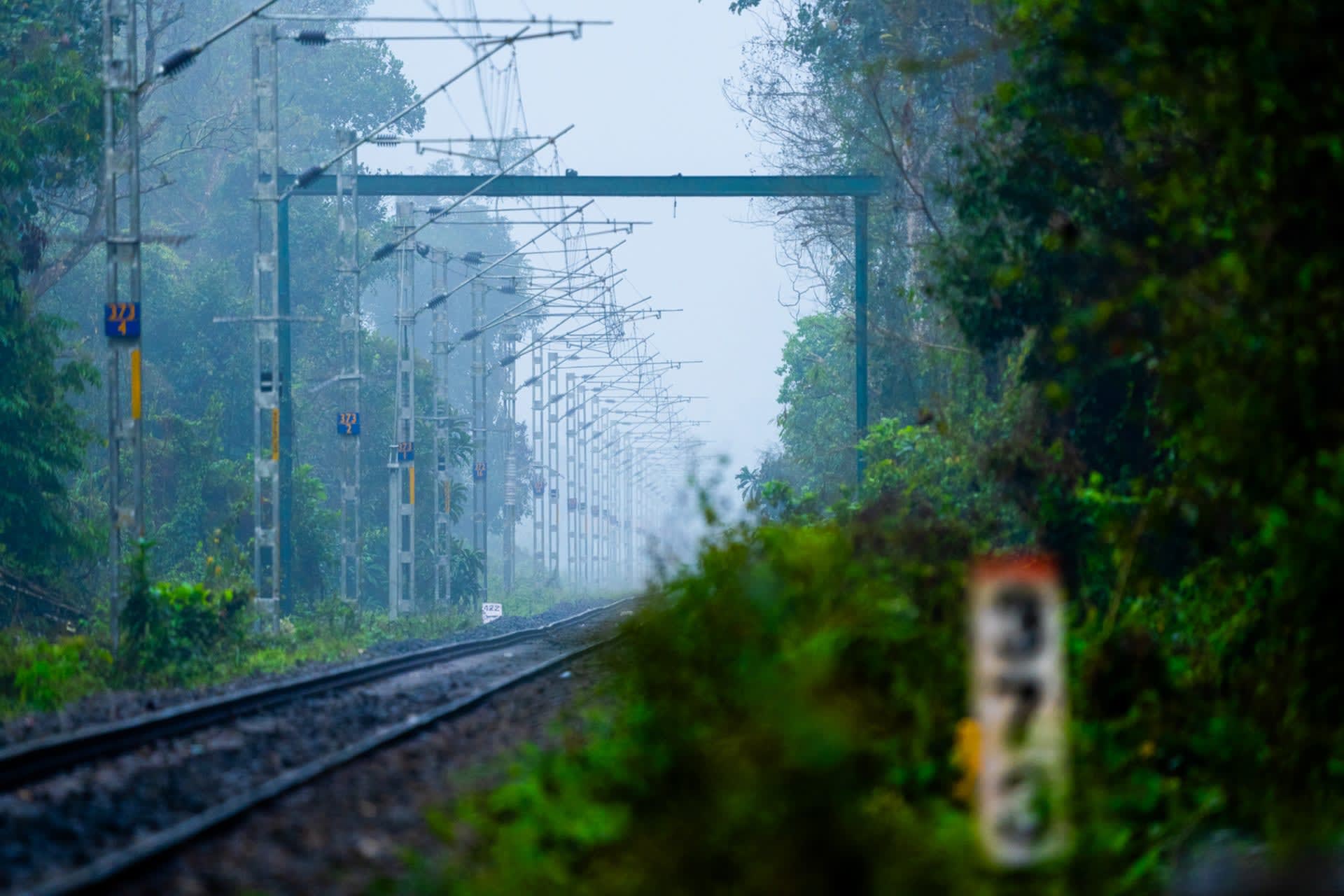 Railway track cutting though Hollongapar Gibbon Wildlife Sanctuary in Assam