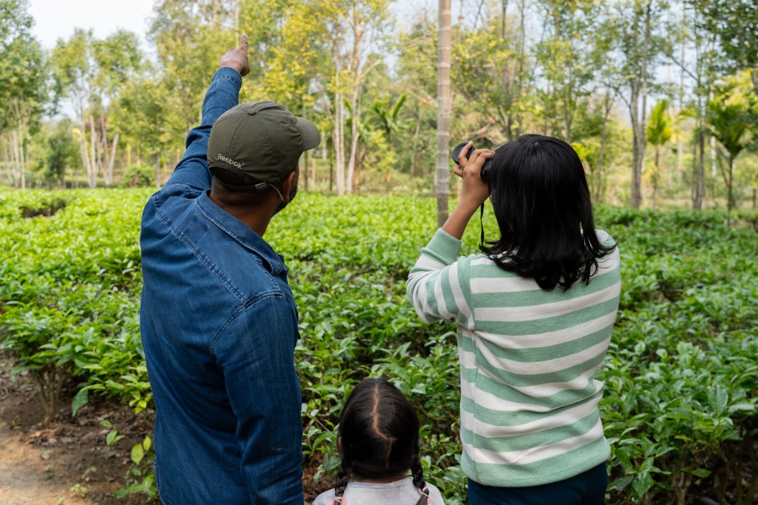 People in tea estates near Hollongapar Gibbon Wildlife Sanctuary in Assam