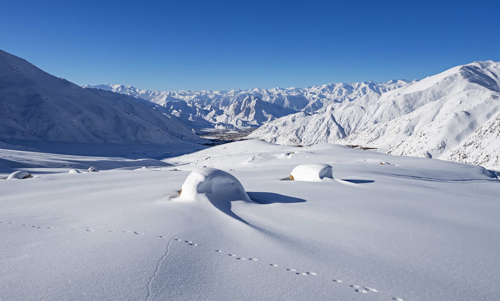 Snow-covered habitat of Wari La, Ladakh, India