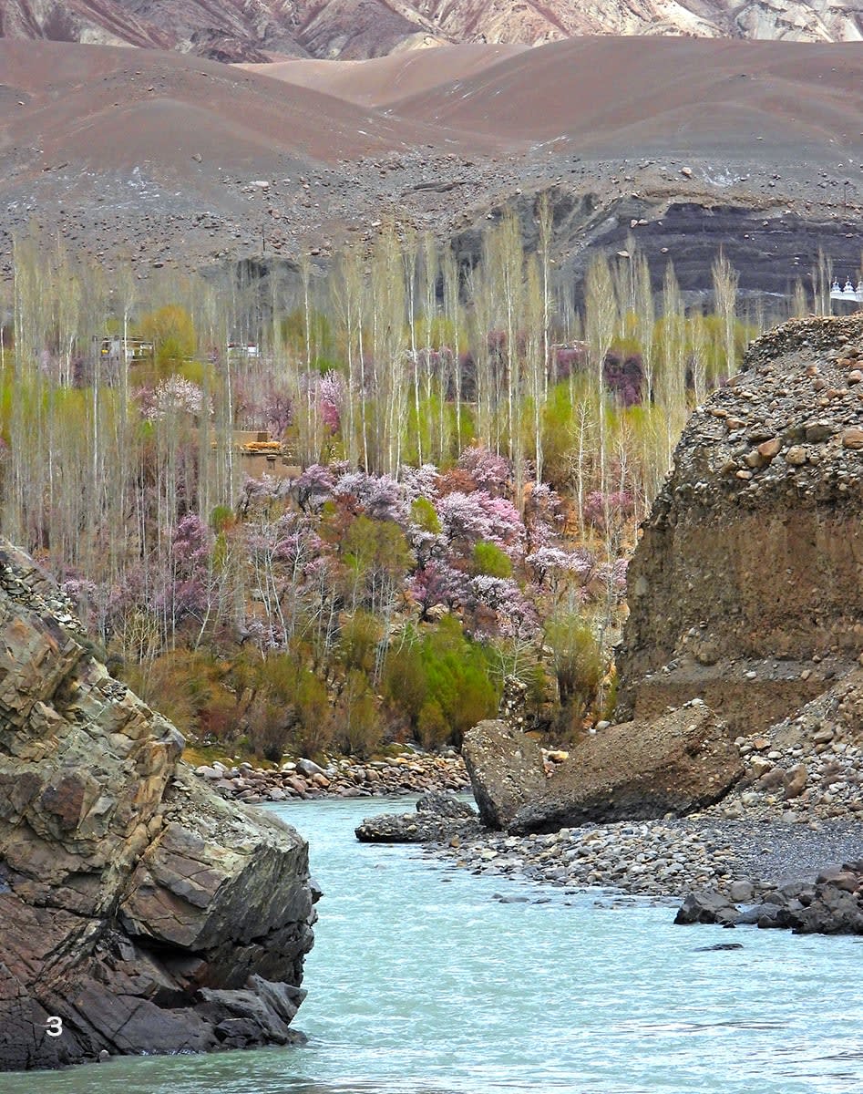 Prehistoric rock art