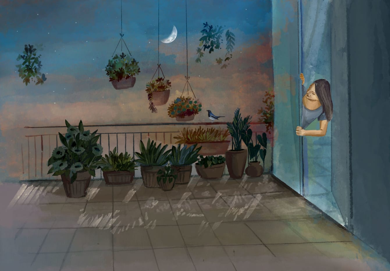 Oriental magpie robin in balcony in mother's garden