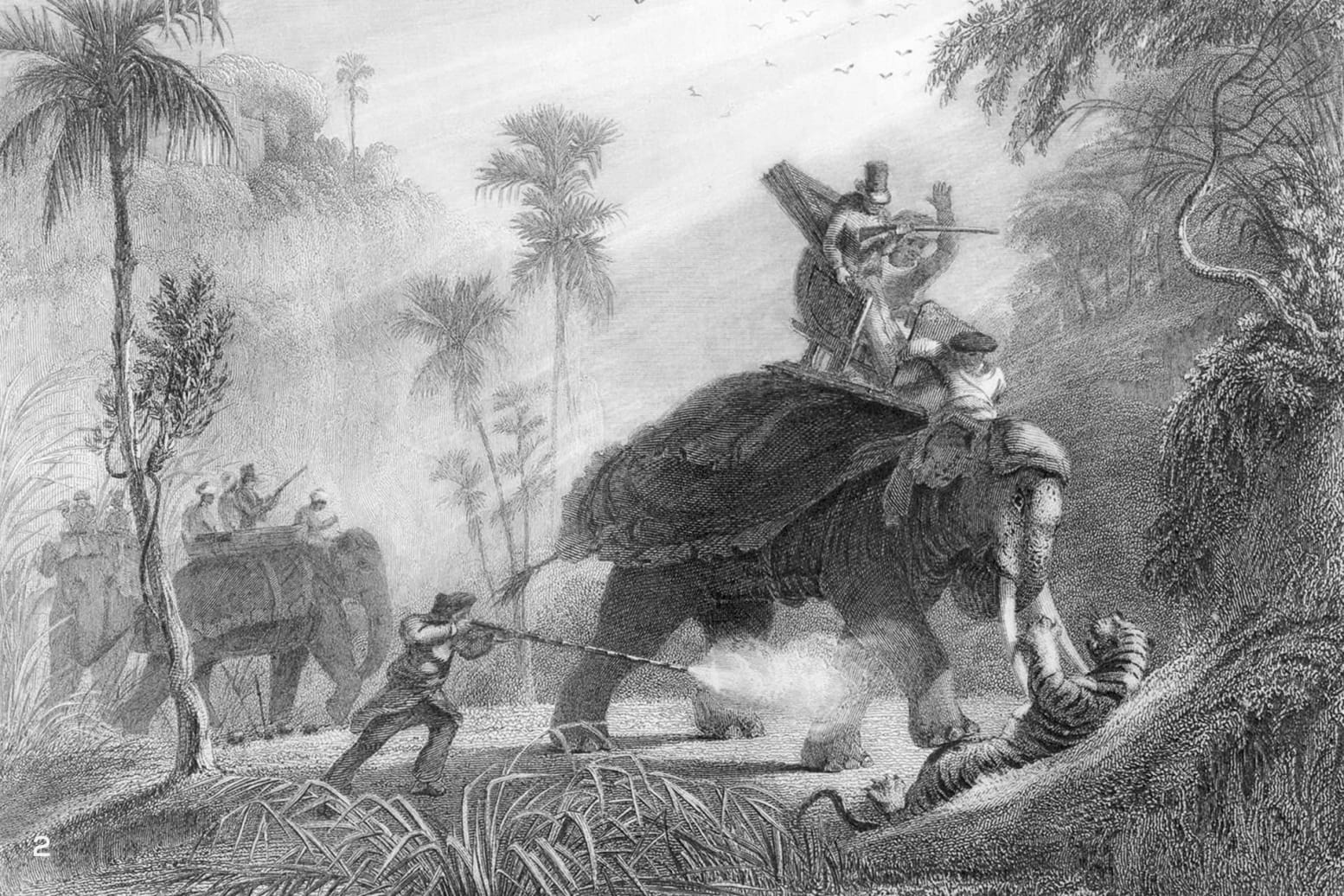 A tiger hunt in India