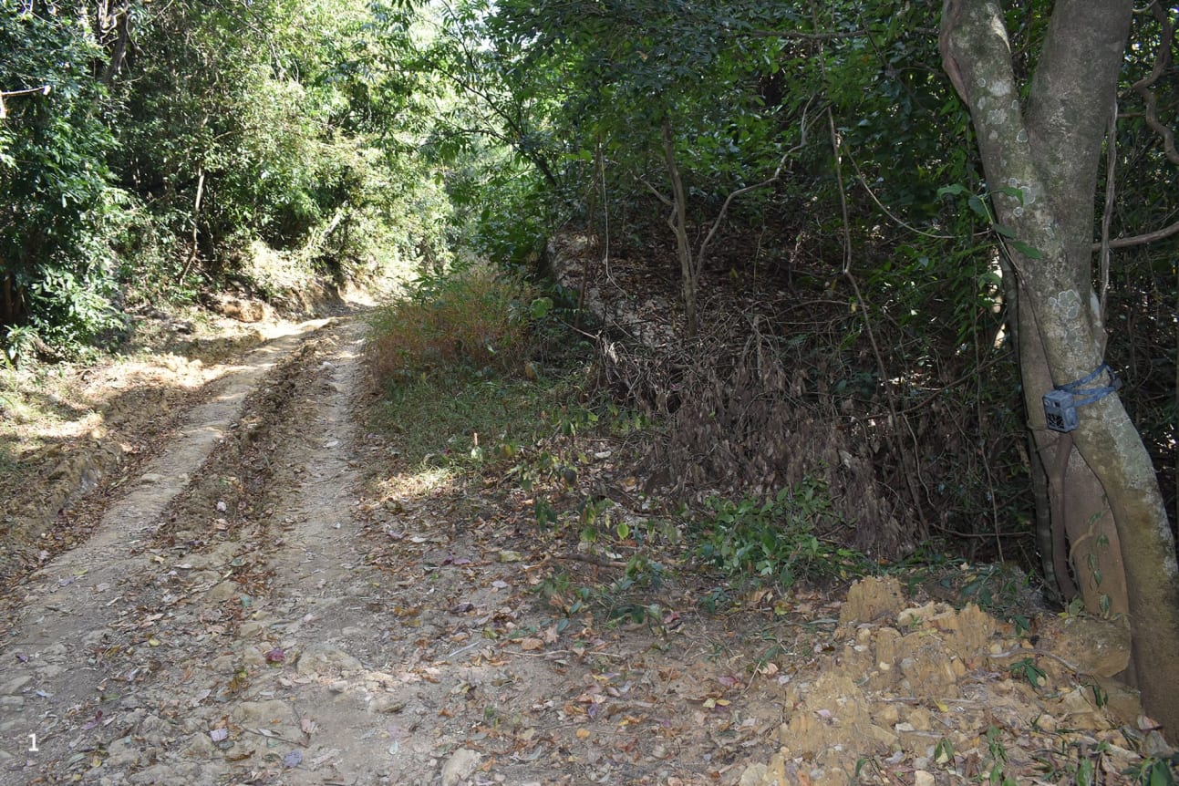 Balpakram National Park
