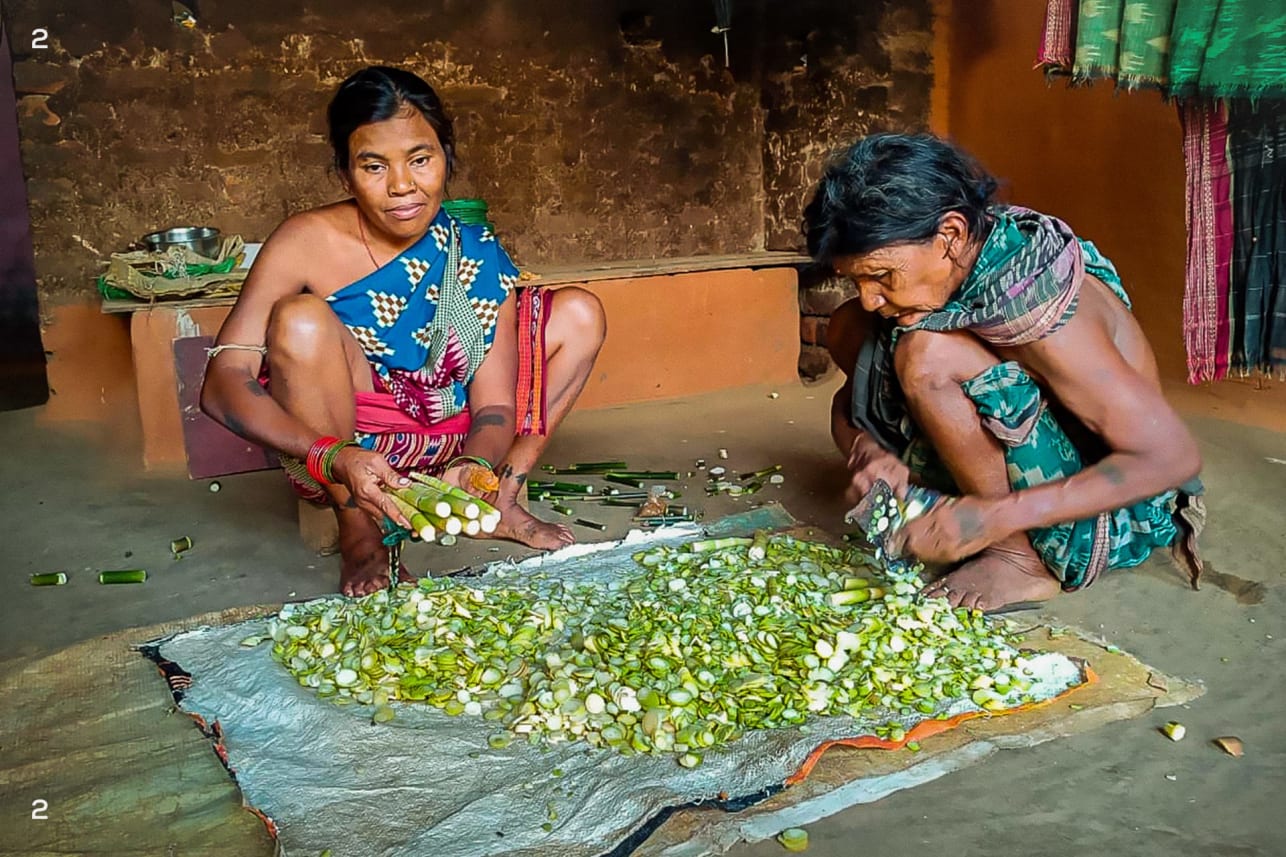Foraging bamboo shoots