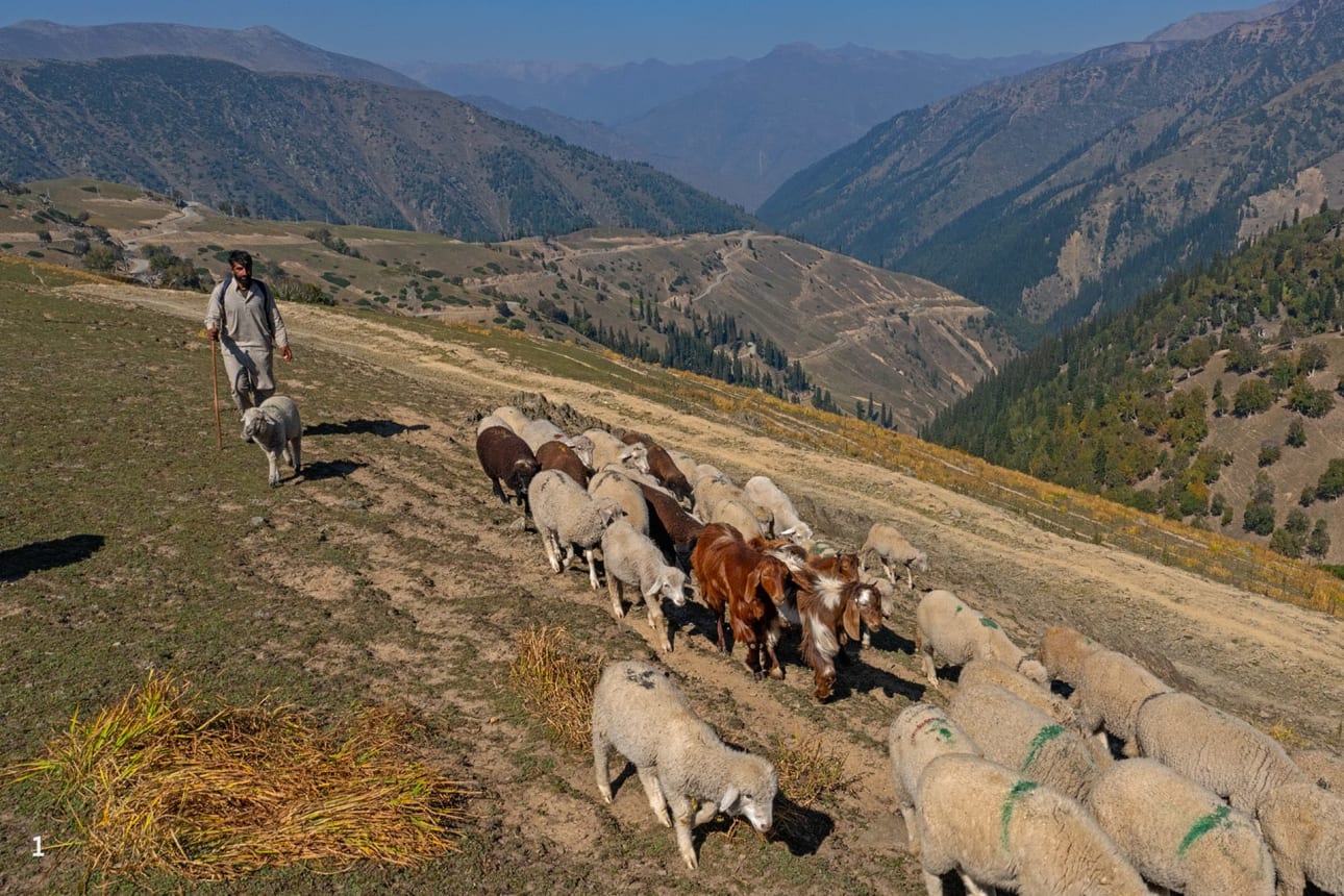 Kashmir’s pastoral nomads known as Bakerwals