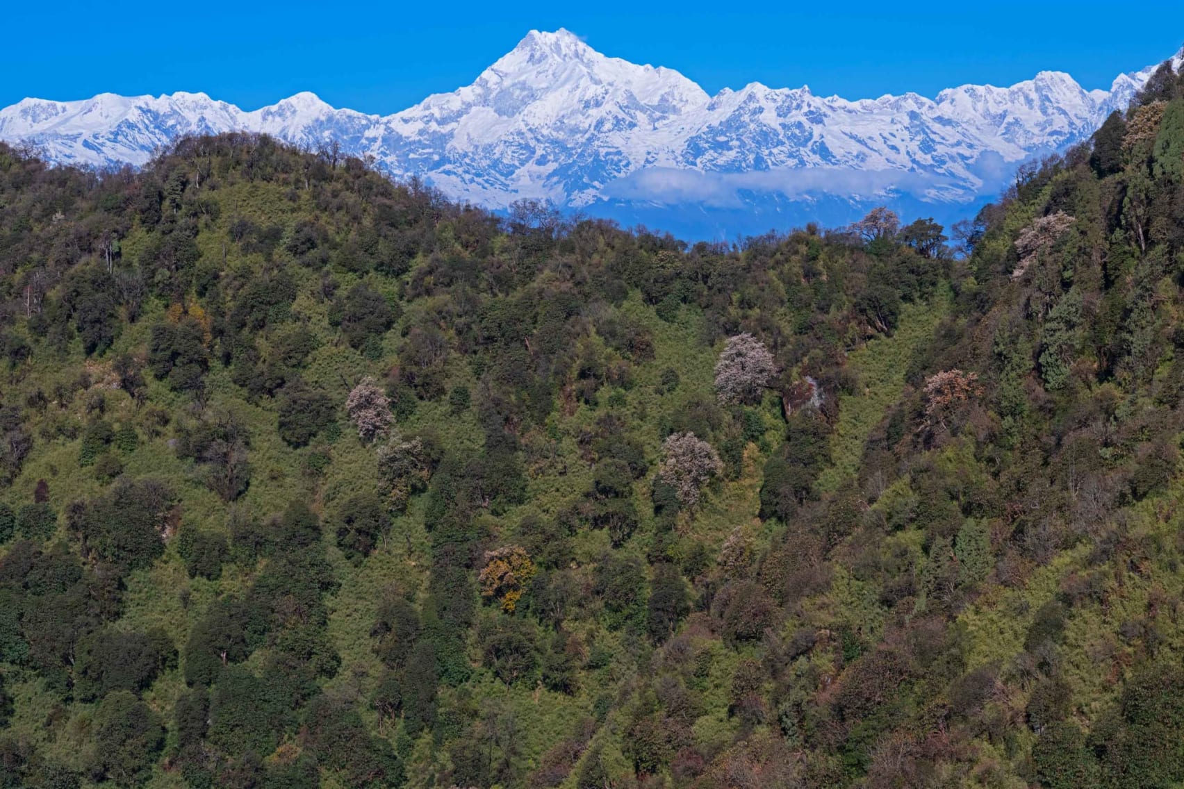 An aerial image of Kanchenjunga from Pangolakha in Sikkim.